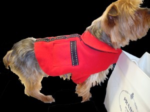 GAIL TOMA Dog Coats Available at Prince of Scots in The Hamptons